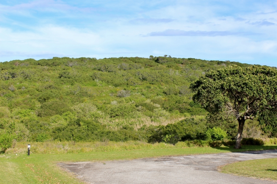 0 Bedroom Property for Sale in Forest Downs Eastern Cape